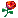 RÓZA