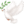Mała